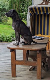 Geoprge am Terrassen Tisch