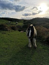 Strumble Head - 6