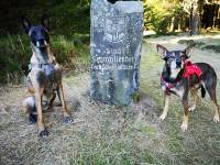 05 Wanderung Alpenhaus