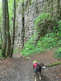 16 Berdorfer Felsenrunde Wolfsschlucht