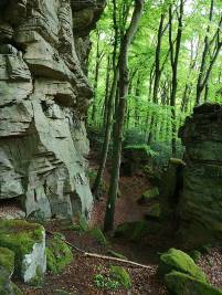 35 Berdorfer Felsenrunde - Raiberhiel