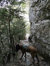 Grand Canyon du Verdon - 2