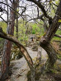 10 Ehrbachklamm