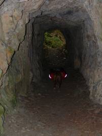 P1090373 Soonwaldsteig - Felsentunnel Budenbach